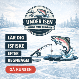 Under isen - Isfiske efter regnbåge